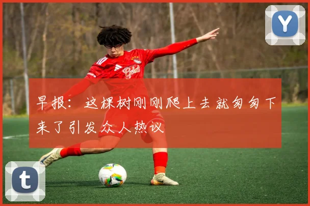 早报：这棵树刚刚爬上去就匆匆下来了引发众人热议