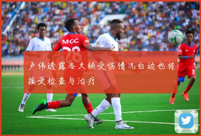 卢伟透露洛夫顿受伤情况白边也将接受检查与治疗
