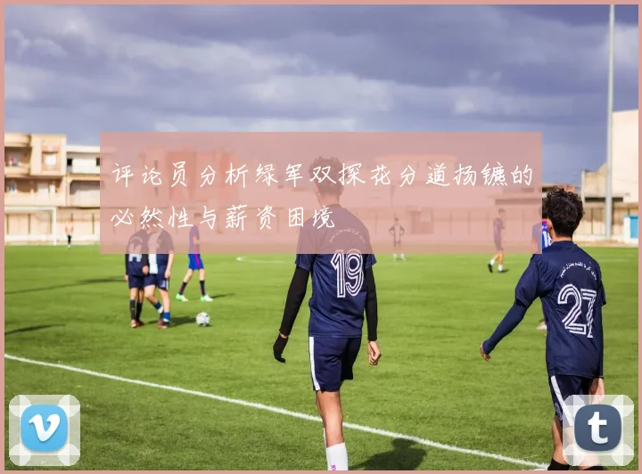 评论员分析绿军双探花分道扬镳的必然性与薪资困境